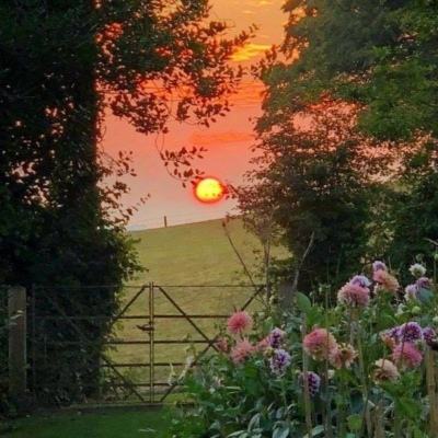 火狐官方网站下载手机版