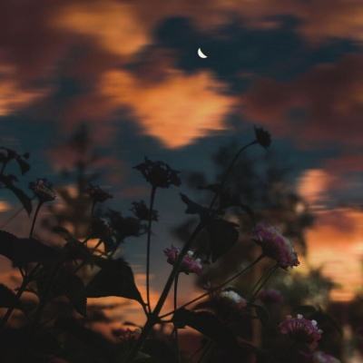 小罗代言米乐体育app下载手机版