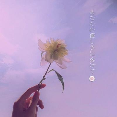 半岛综合体育·官方网站